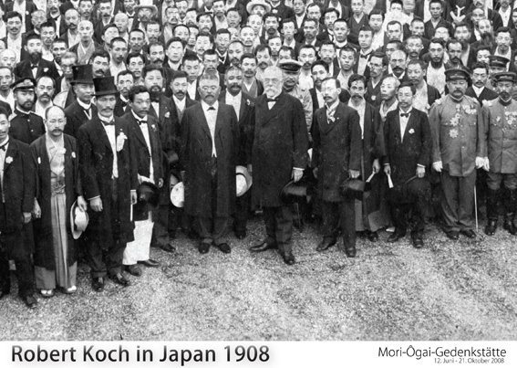 Koch_Japan.jpg