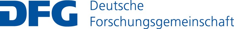 dfg logo schriftzug blau