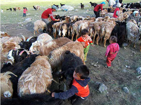 Kasachische Halbnomaden beim Hüten der Schafe und Ziegen