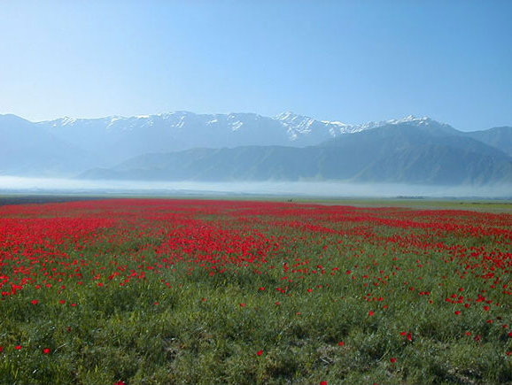 Frühling in Ishkashim