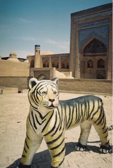 Der Tiger von Khiv