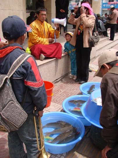 Tsethar-Verkauf von Fischen in einer tibetischen Stadt in der Provinz Qinghai