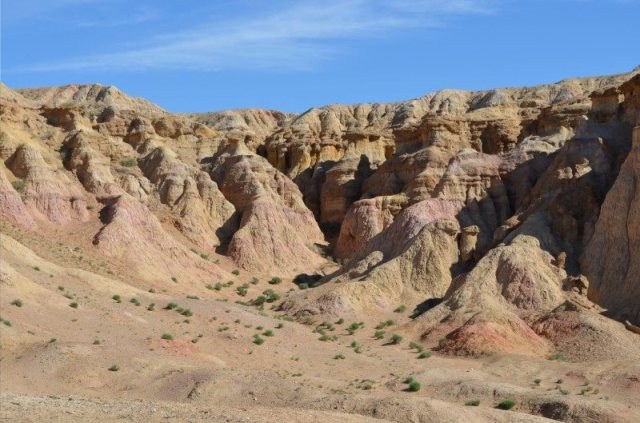 Gobi