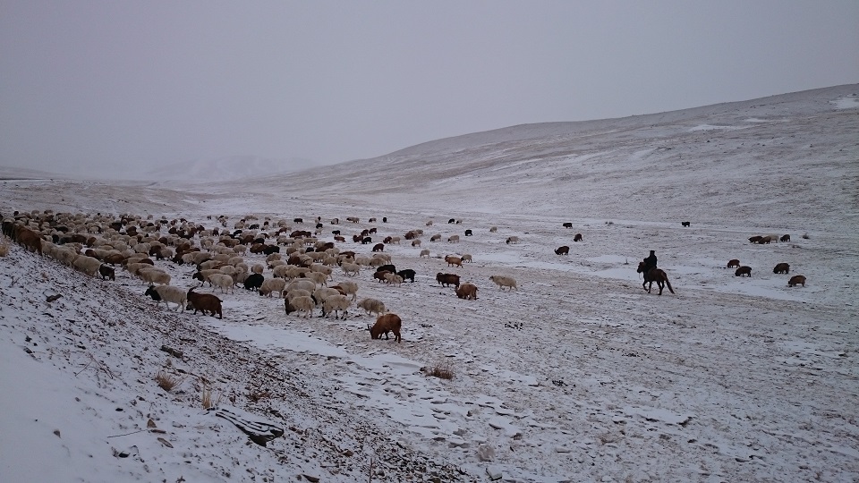 Schneesturm die Mongolei Januar 2018.JPG