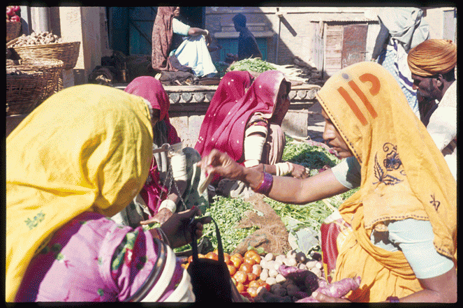 Humboldt India Project - Animation