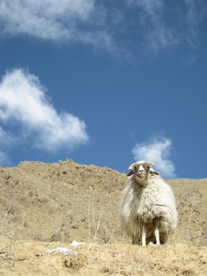 Zentraltibet