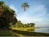 tanzania-strand.jpg